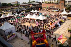 festival organiseren