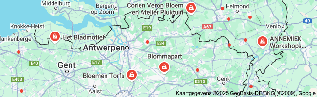 bloemschikken workshop